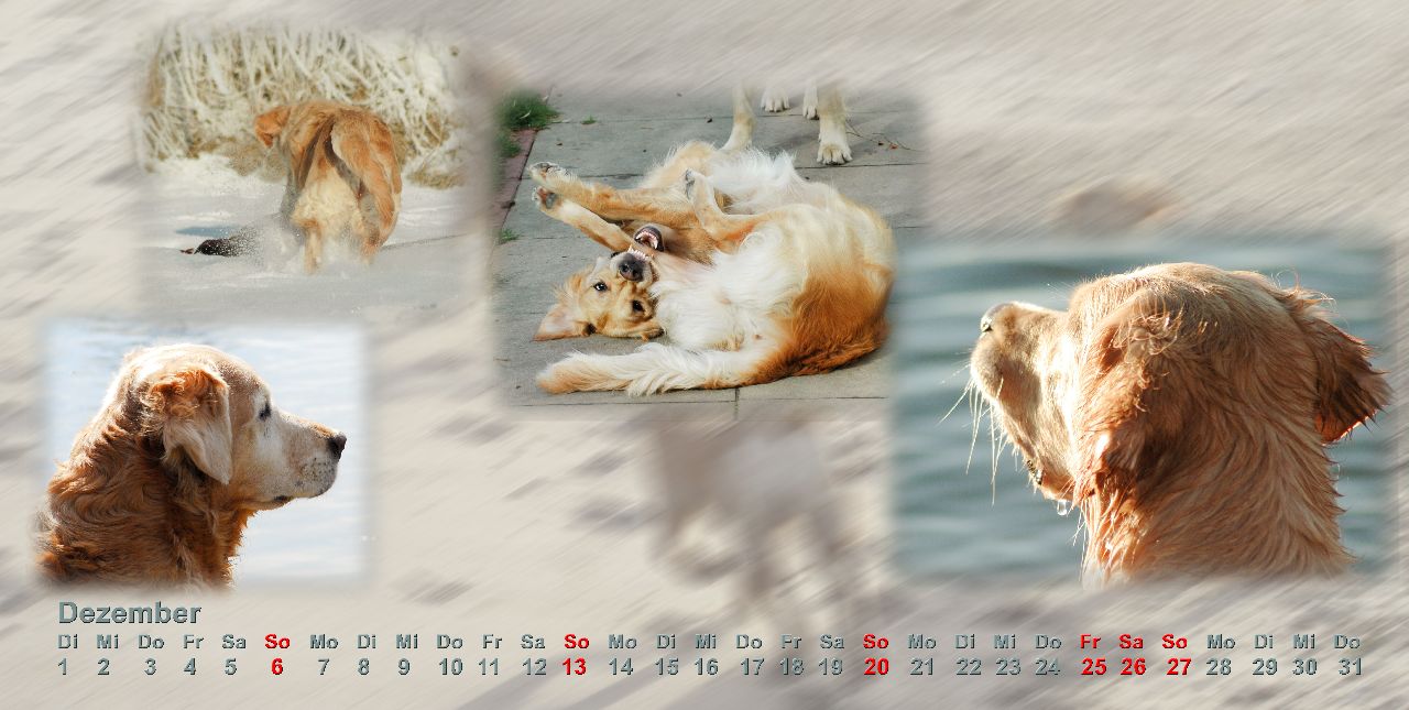 Dezember