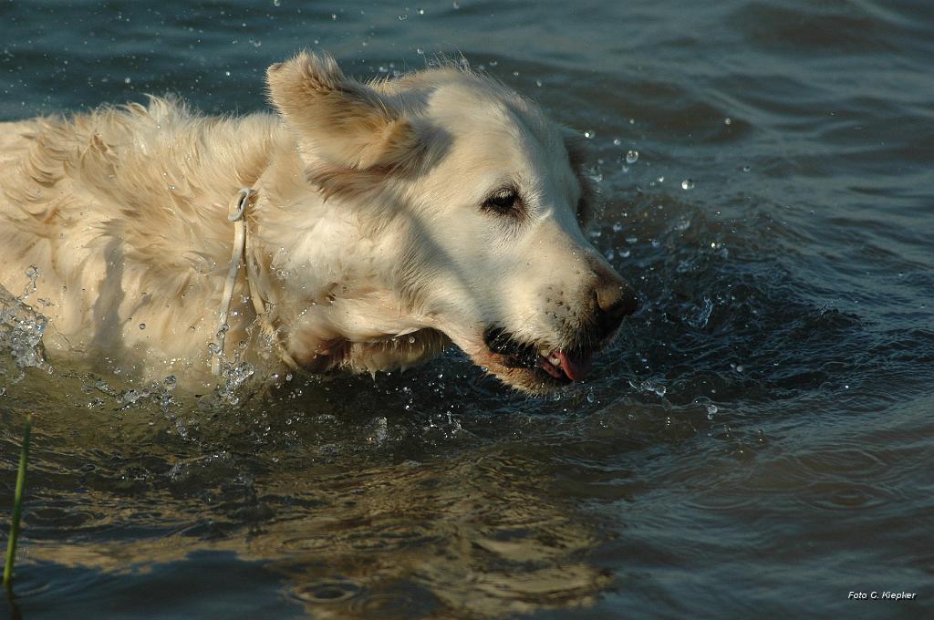 DSC_9605.JPG