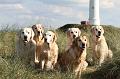 IMG_2499